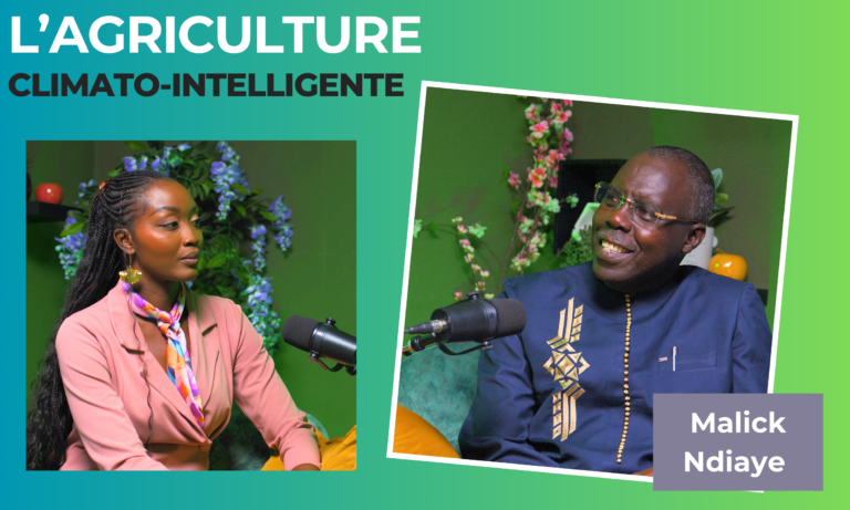 Malick Ndiaye ancien DG de la Banque Agricole nous parle de l’agriculture Climato-Intelligente !